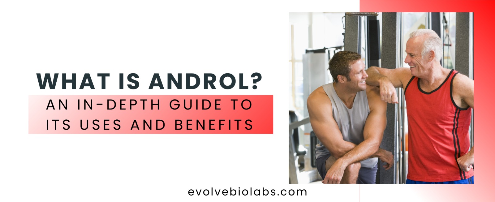 What is Androl? An In-Depth Guide to Its Uses and Benefits. 