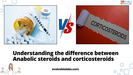 Understanding the difference between Anabolic steroids and corticosteroids, Types of Steroids 