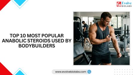 Top 10 Most Popular Anabolic Steroids Used by Bodybuilders, Understanding Anabolic Steroids in Bodybuilding 